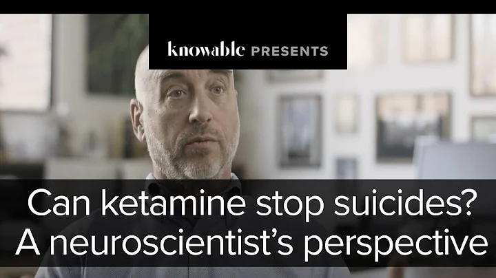 Can Ketamine Stop Suicide? Perspective, from a Neuroscientist