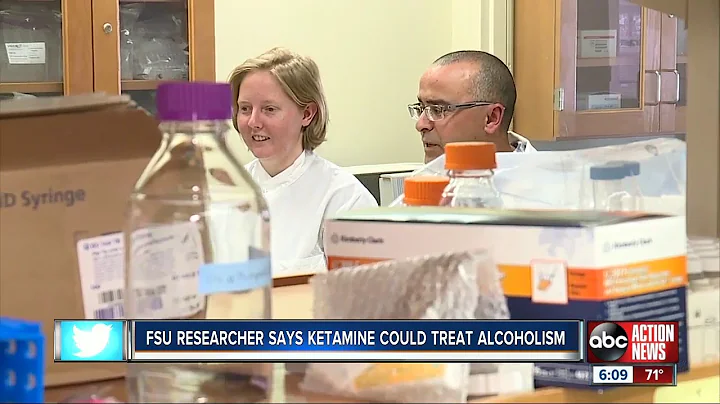 Florida State researchers suggest ketamine could curb alcoholism